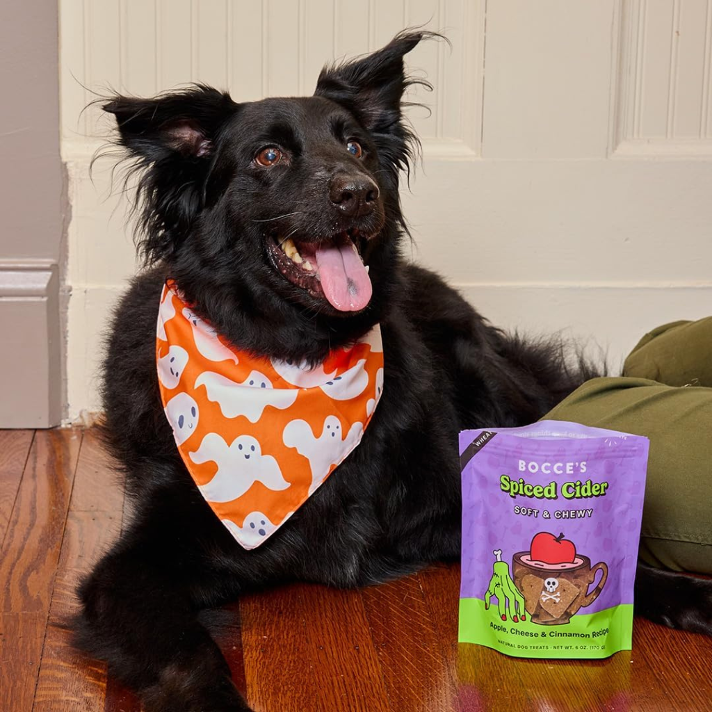 Bocce's Bakery Spice Cider Soft & Chewy Dog Treats - 6oz