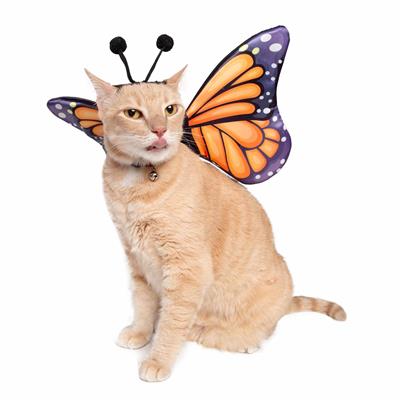 Butterfly Wings + Hat Pet Costume