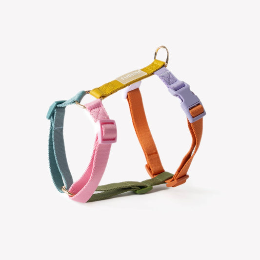 Rainbow Strap H-Style Harness
