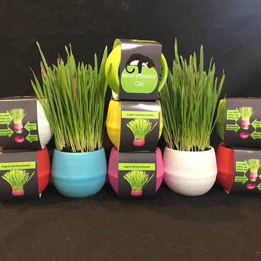 Cat Grass Garden Balls