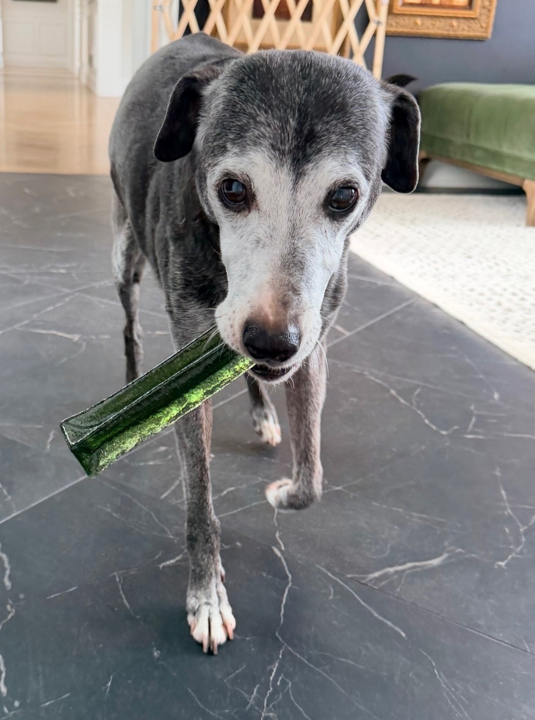 Mighty Marrow Collagen Dental Chew - Spirulina Beef - Large