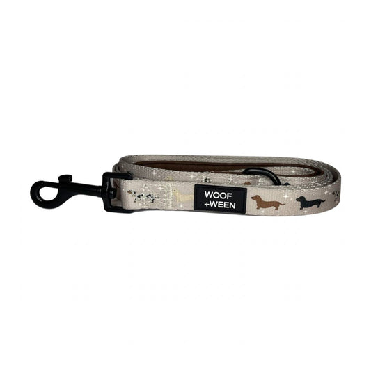 Whimsical Weens Leash