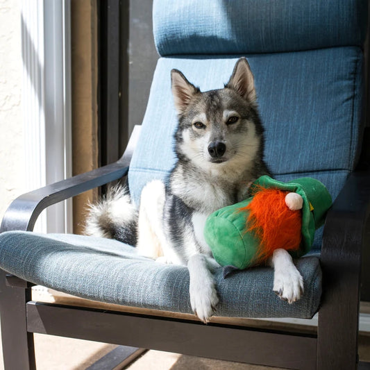 St. Patrick's Day Hide A Ball Gnome