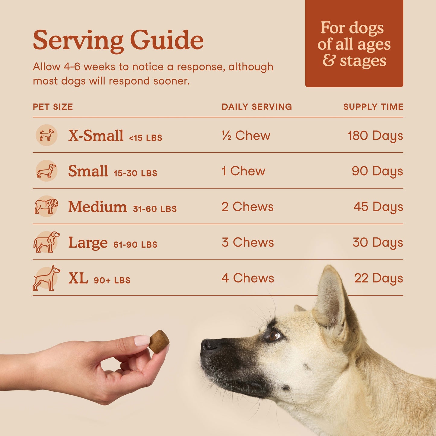 Fera Probiotics Soft Chews for Dogs