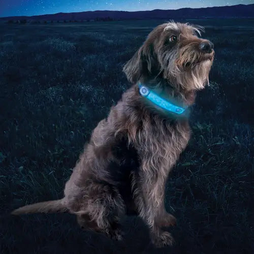 Nite Dog Disc-o Select LED Collar Cover