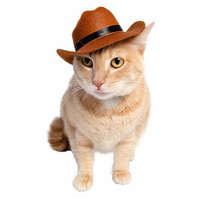 Cowboy Hat