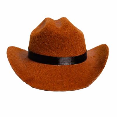Cowboy Hat