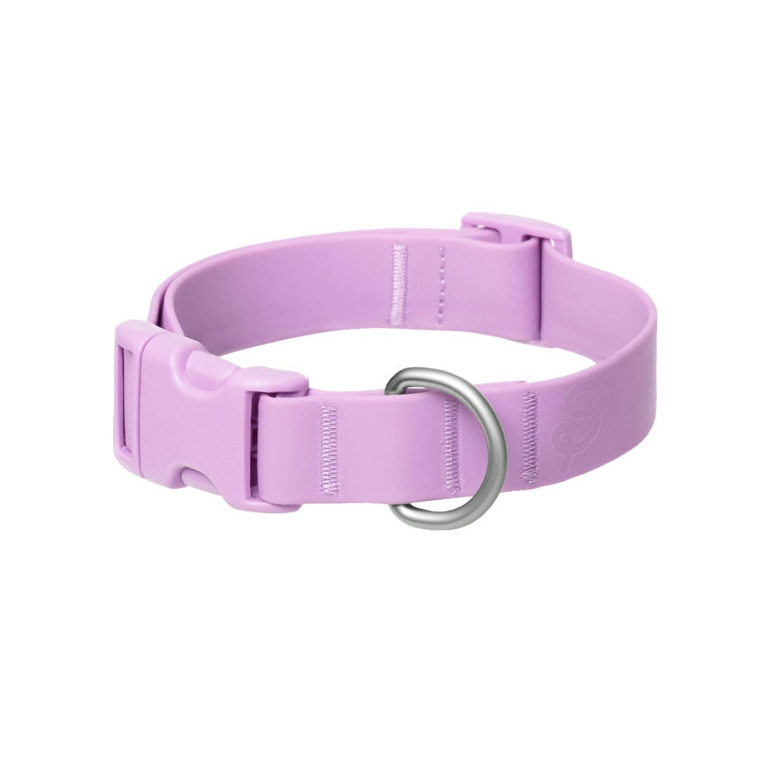 Springer Waterproof & Adjustable Dog Collar -  Lilac