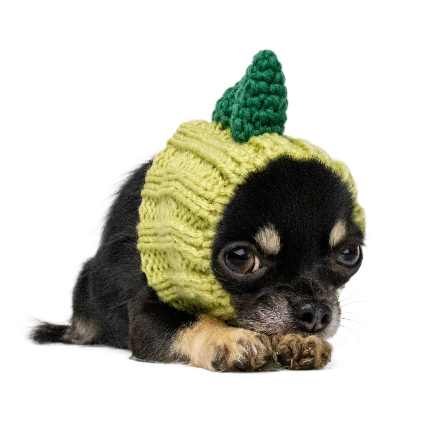 Dinosaur Dog Snood