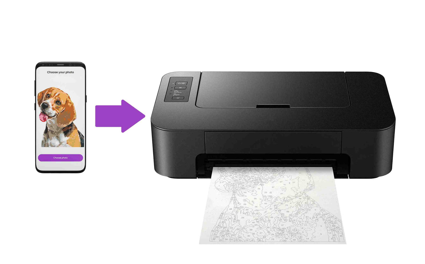 Paint Your Photo By Number | Pets Edition