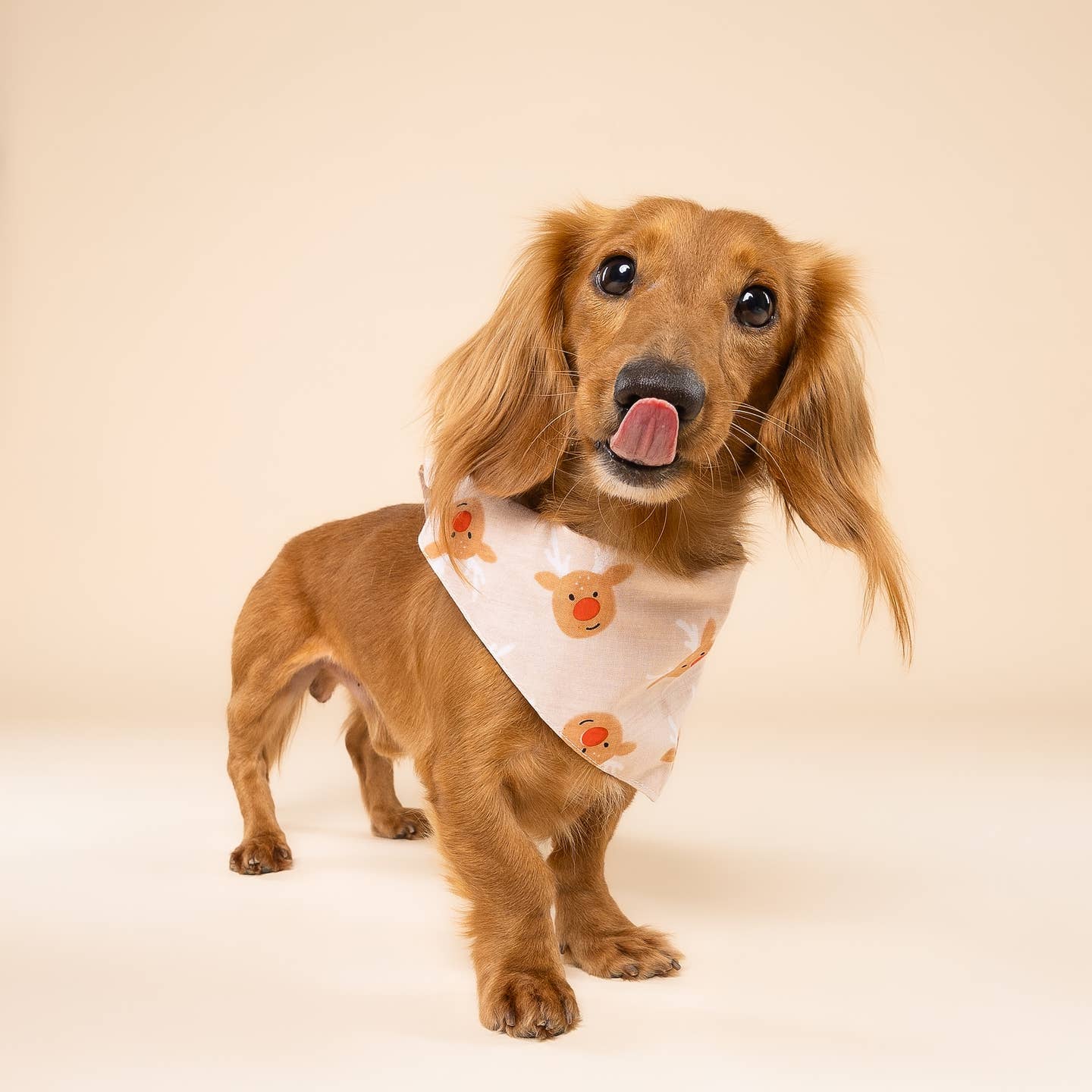Rudolph Christmas Dog Bandana