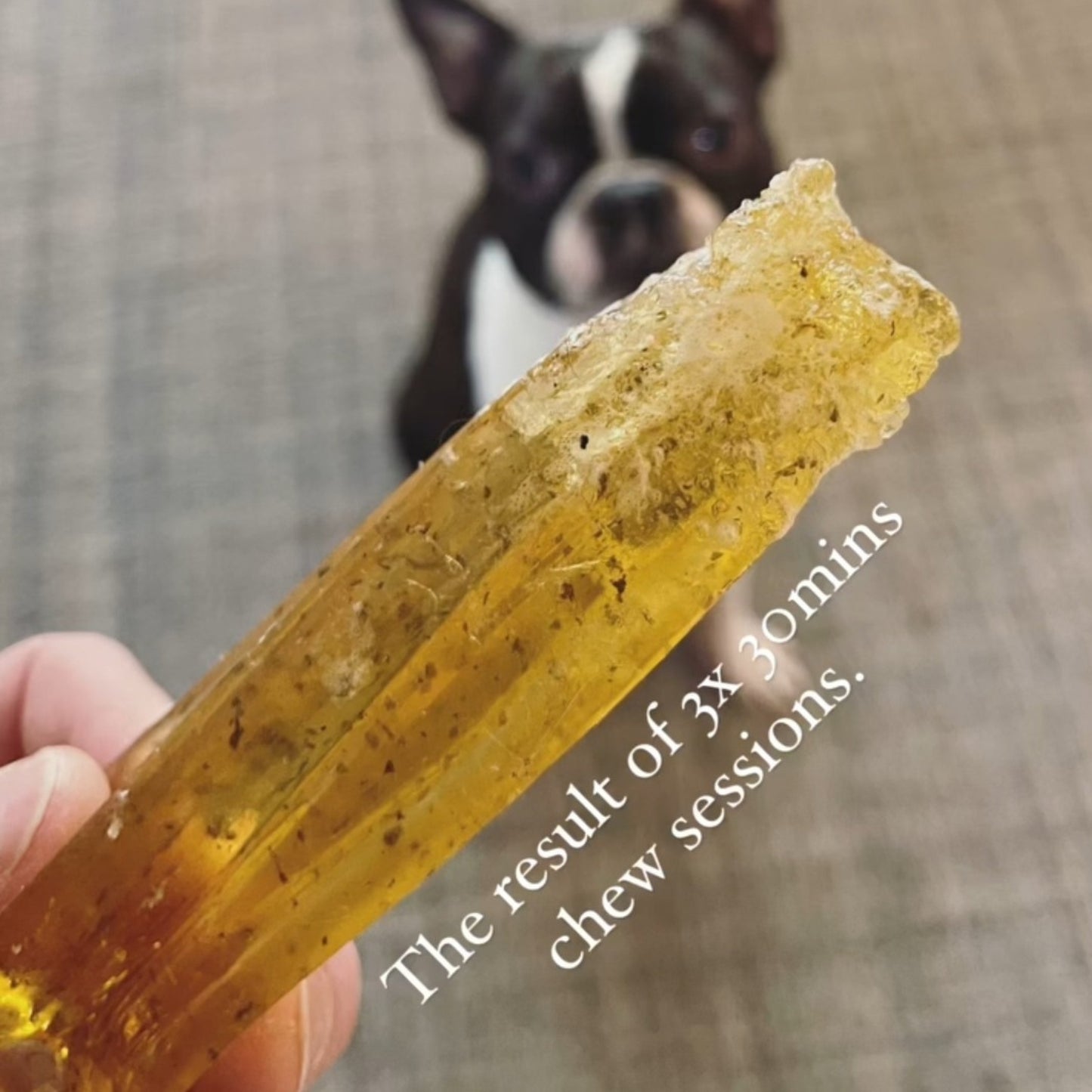 Mighty Marrow Collagen Dental Chew - Pork & Parsley - Large