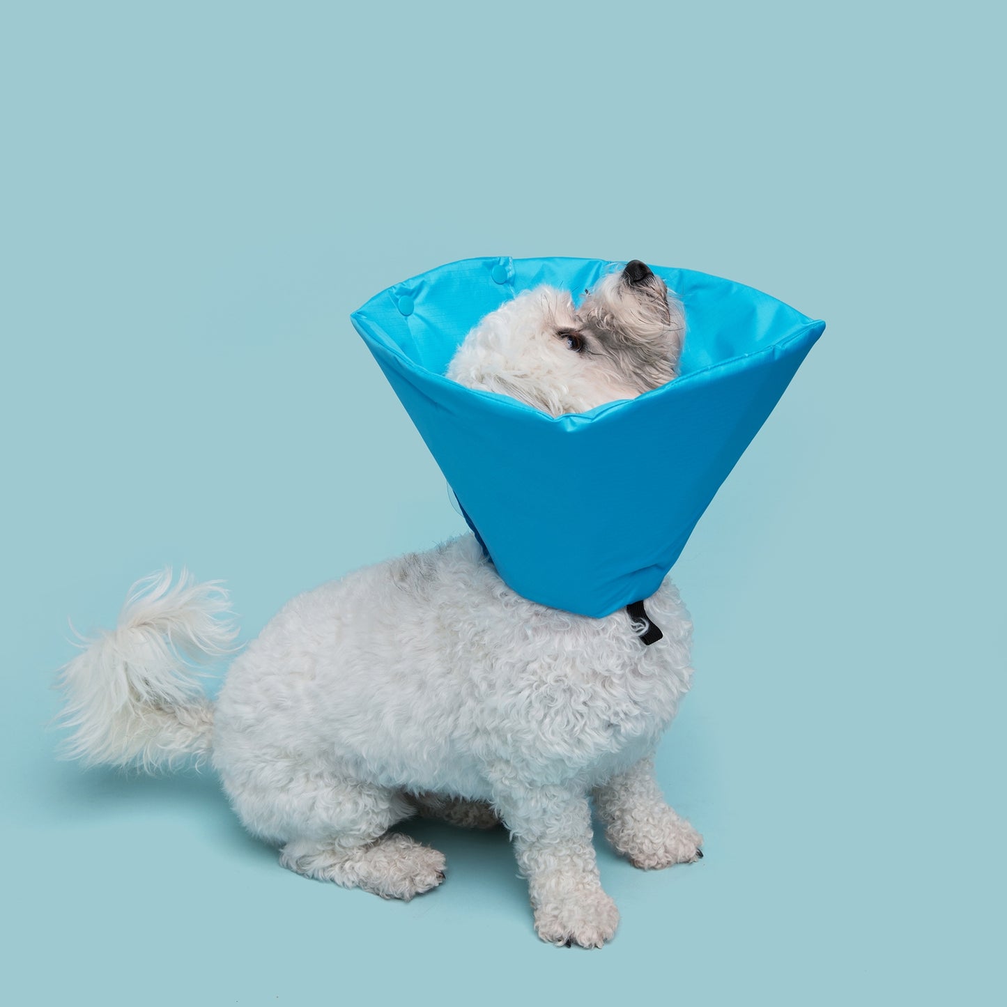 Soft Recovery Cone - Blue