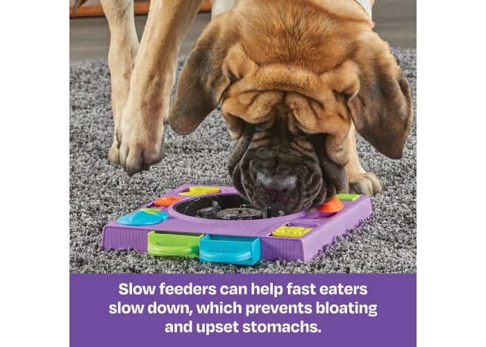 DJ Doggo Puzzle Feeder