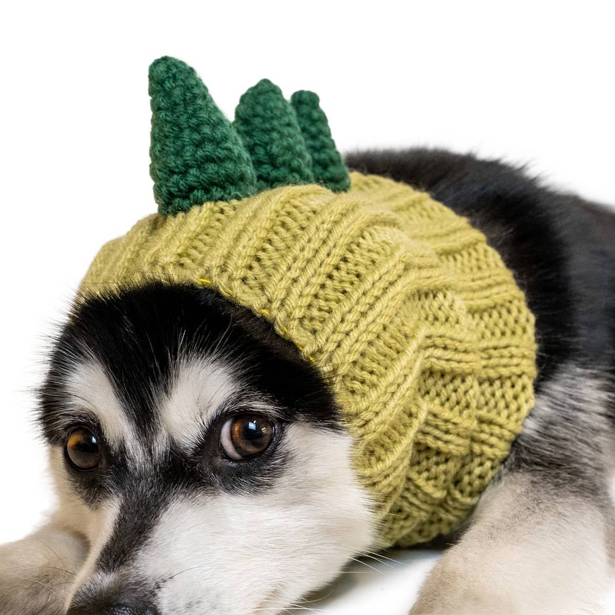 Dinosaur Dog Snood