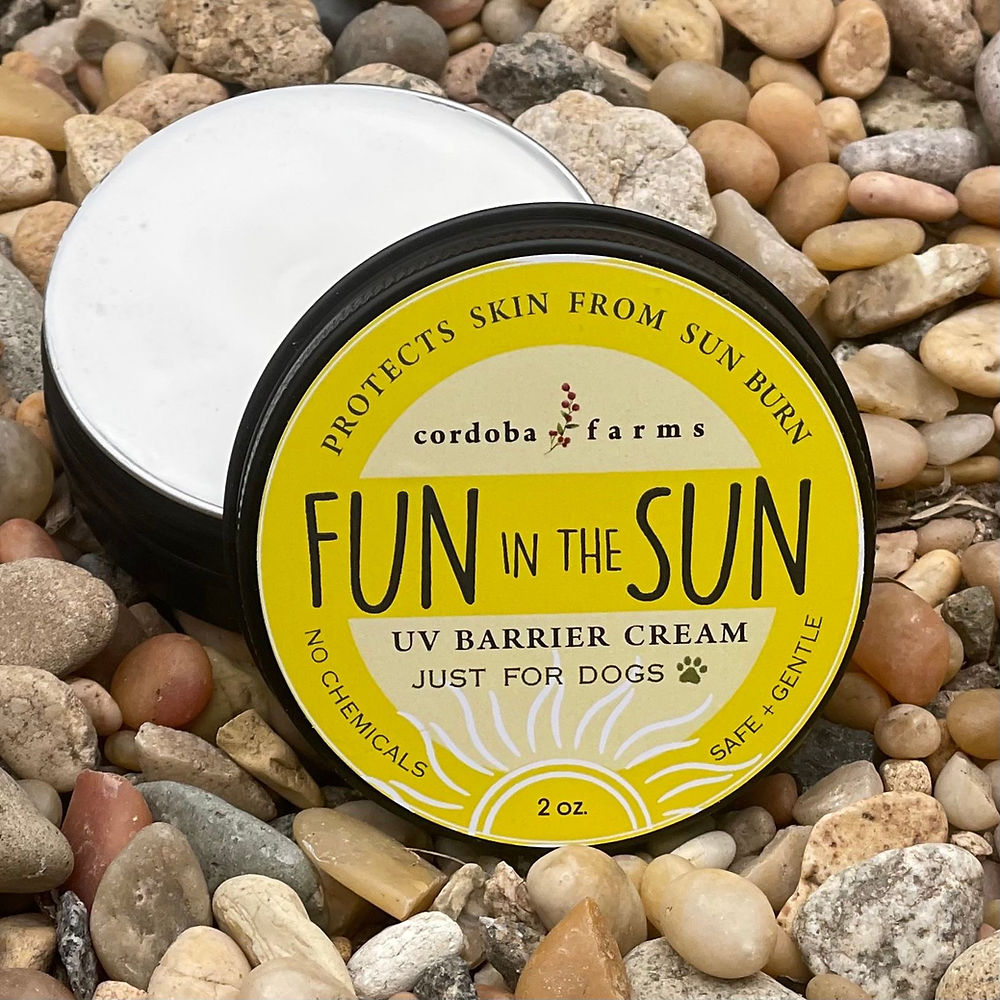 Fun in the Sun UV Barrier Cream for Dogs