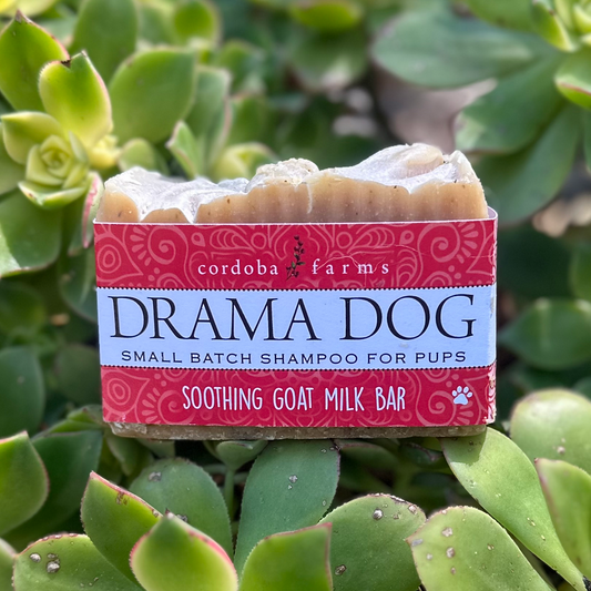 Drama Dog Goat Milk Shampoo Bar