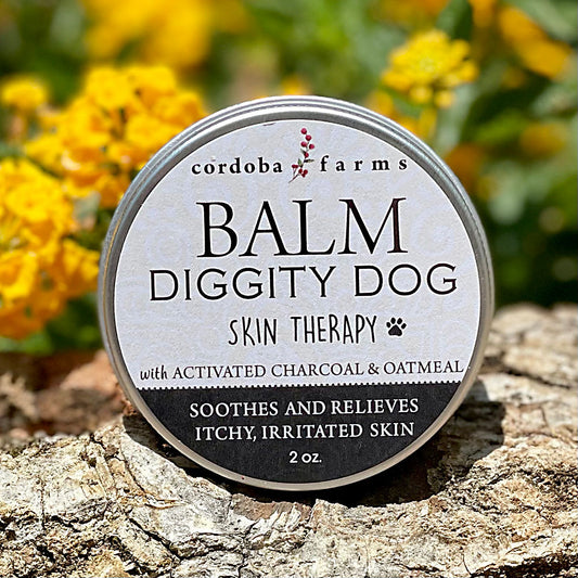 Balm Diggity Dog Skin Therapy With Activated Charcoal and Oatmeal - 2 oz Tin