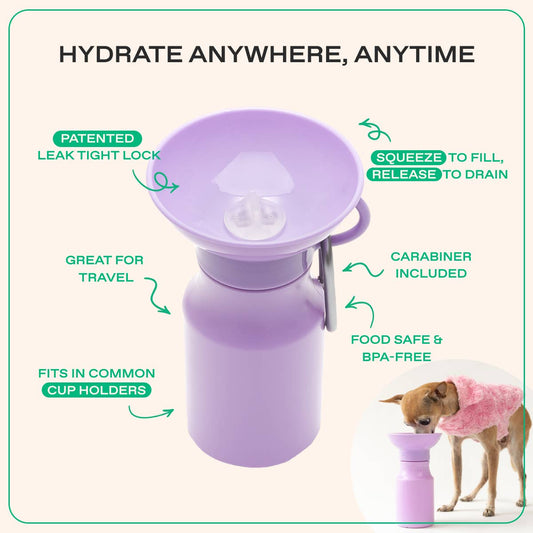Springer Dog Travel Water Bottle - 15oz Mini - Lavender