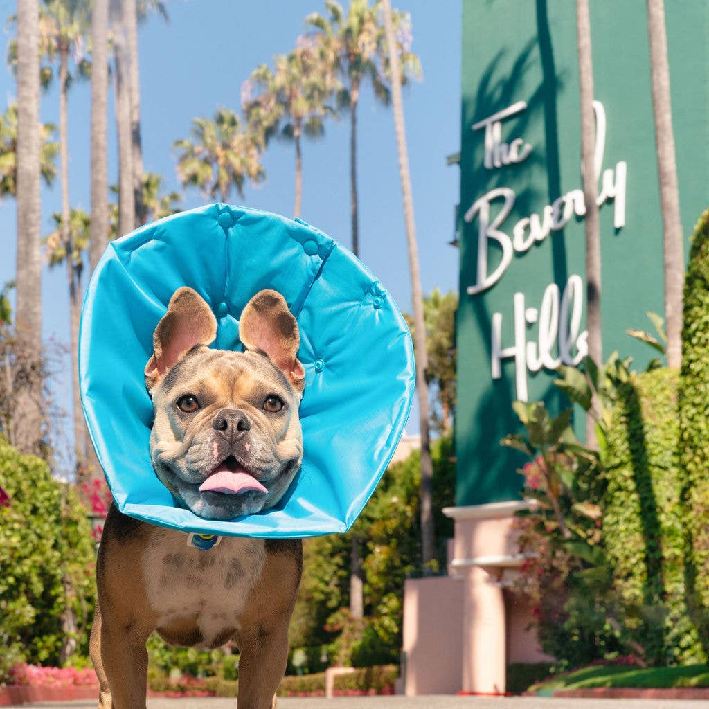 Soft Recovery Cone - Blue