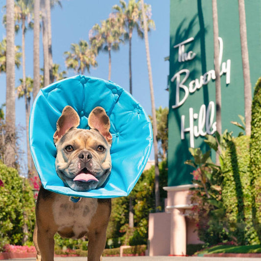 Soft Recovery Cone - Blue