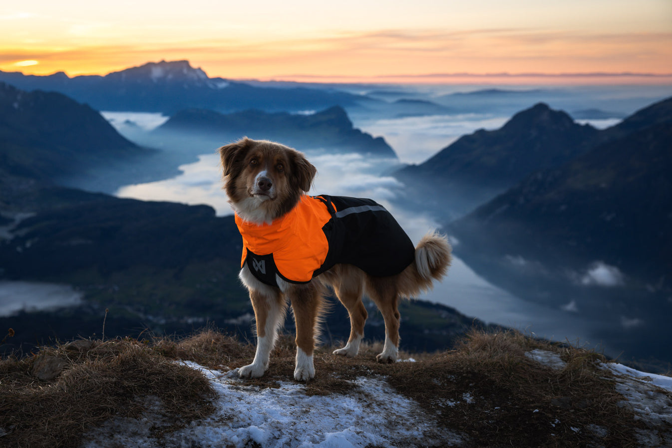 Fjord raincoat 2.0 - Black & Orange