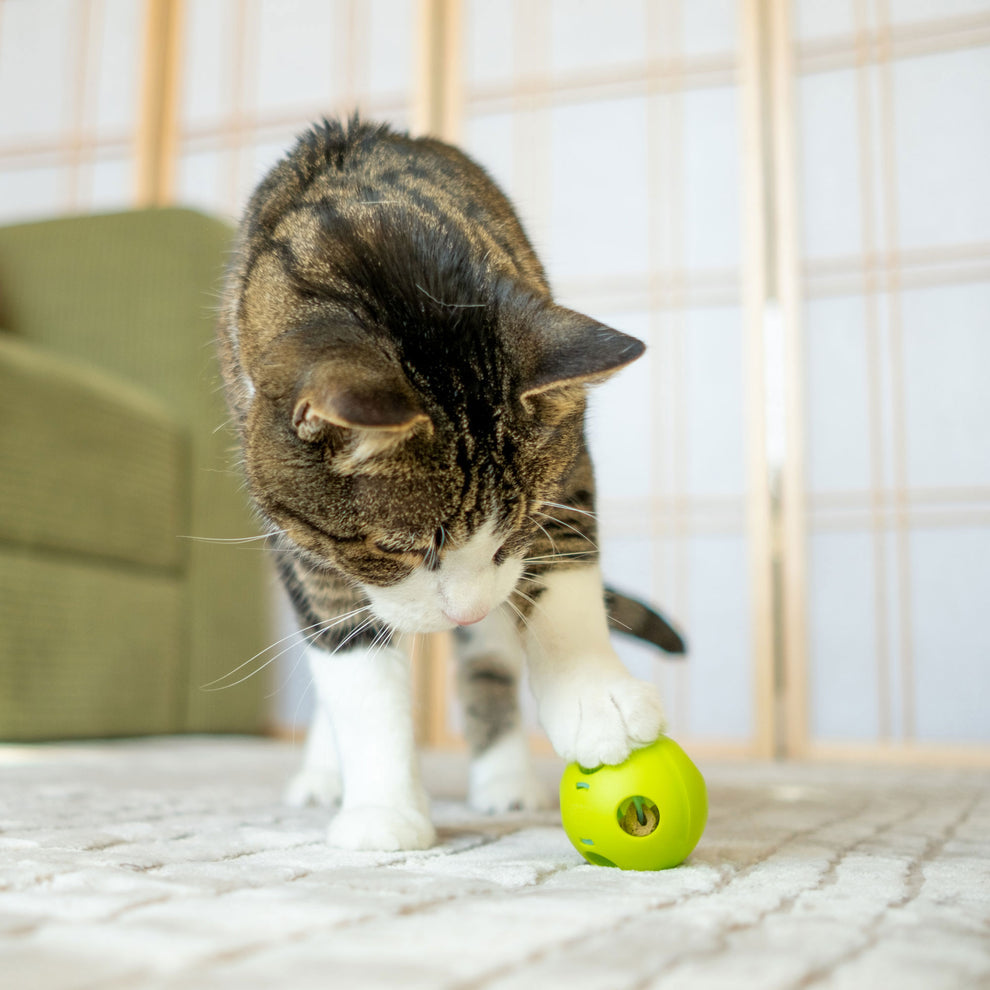 Purrkleball Treat Ball Cat Toy