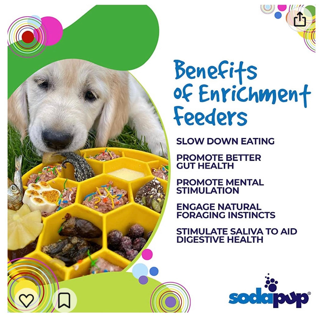 Honeycomb Slow-Feeder & Enrichment Bowl - Blue