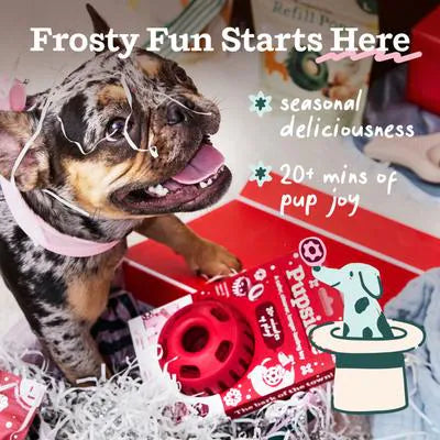 WOOF Holiday Jolly Pupsicle