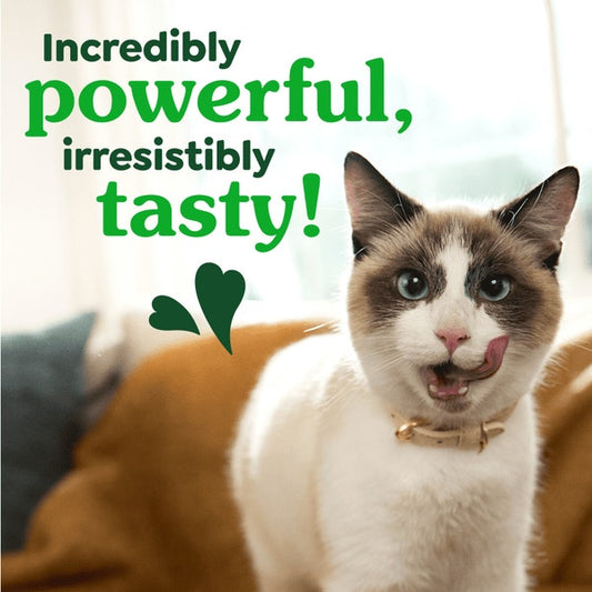 Greenies Oven-Roasted Chicken Flavor Cat Treats - 2.1 oz