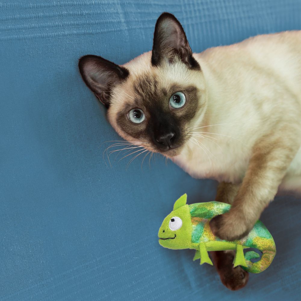 Kong Refillable Catnip Chameleon