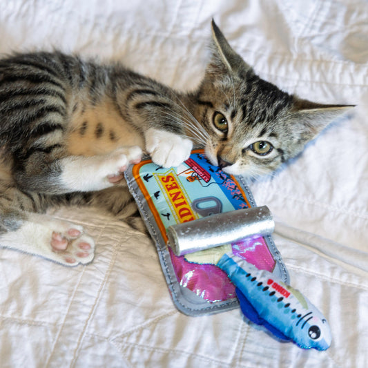 KONG Crackle Sardine Cat Toy