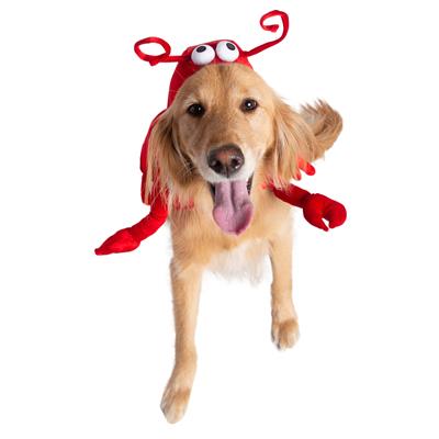 Lobster Costume