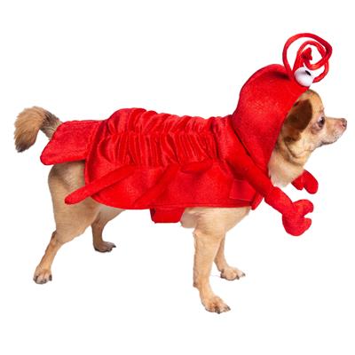 Lobster Costume