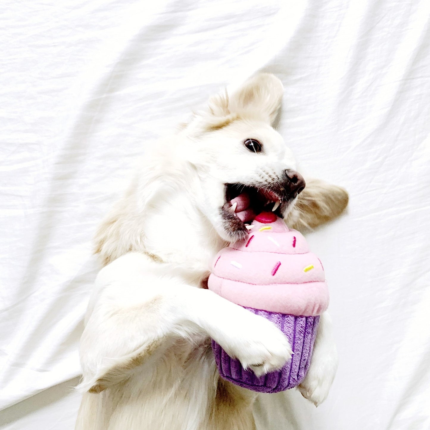 Pink Cupcake Plushie Squeaky Toy
