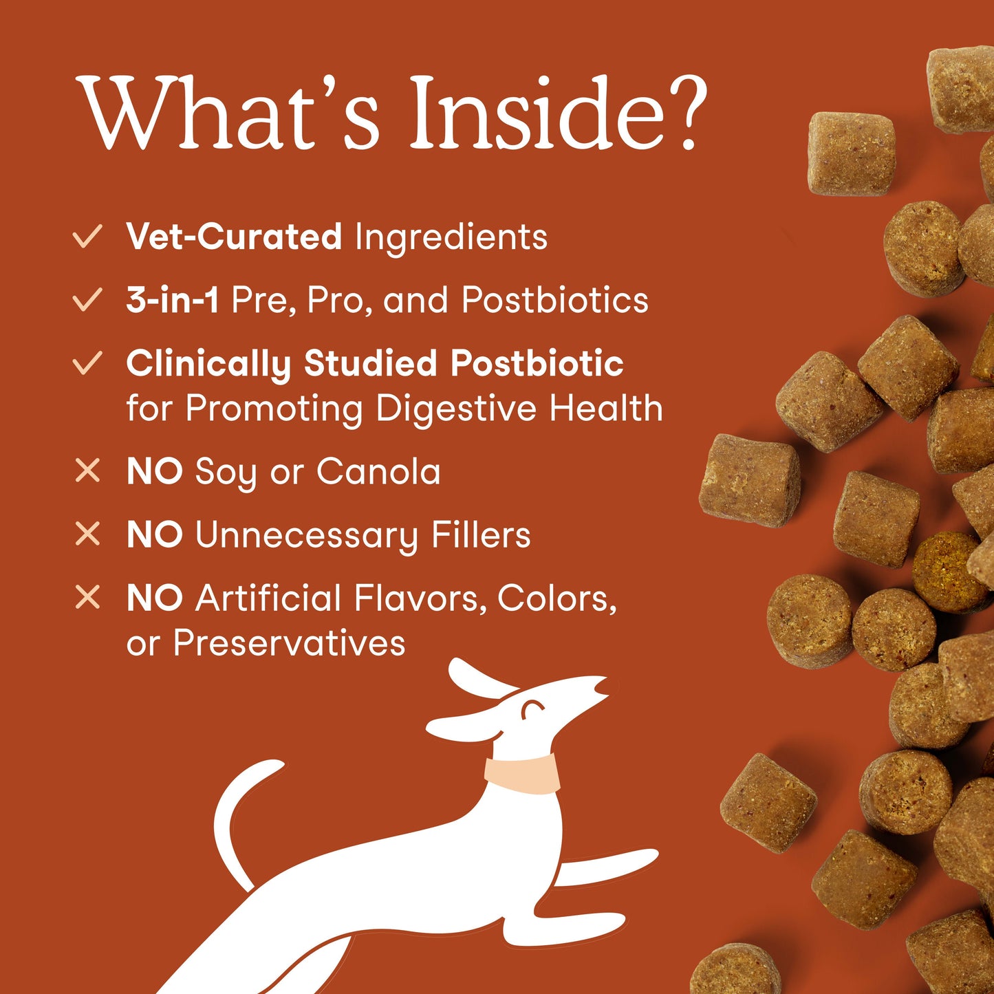 Fera Probiotics Soft Chews for Dogs