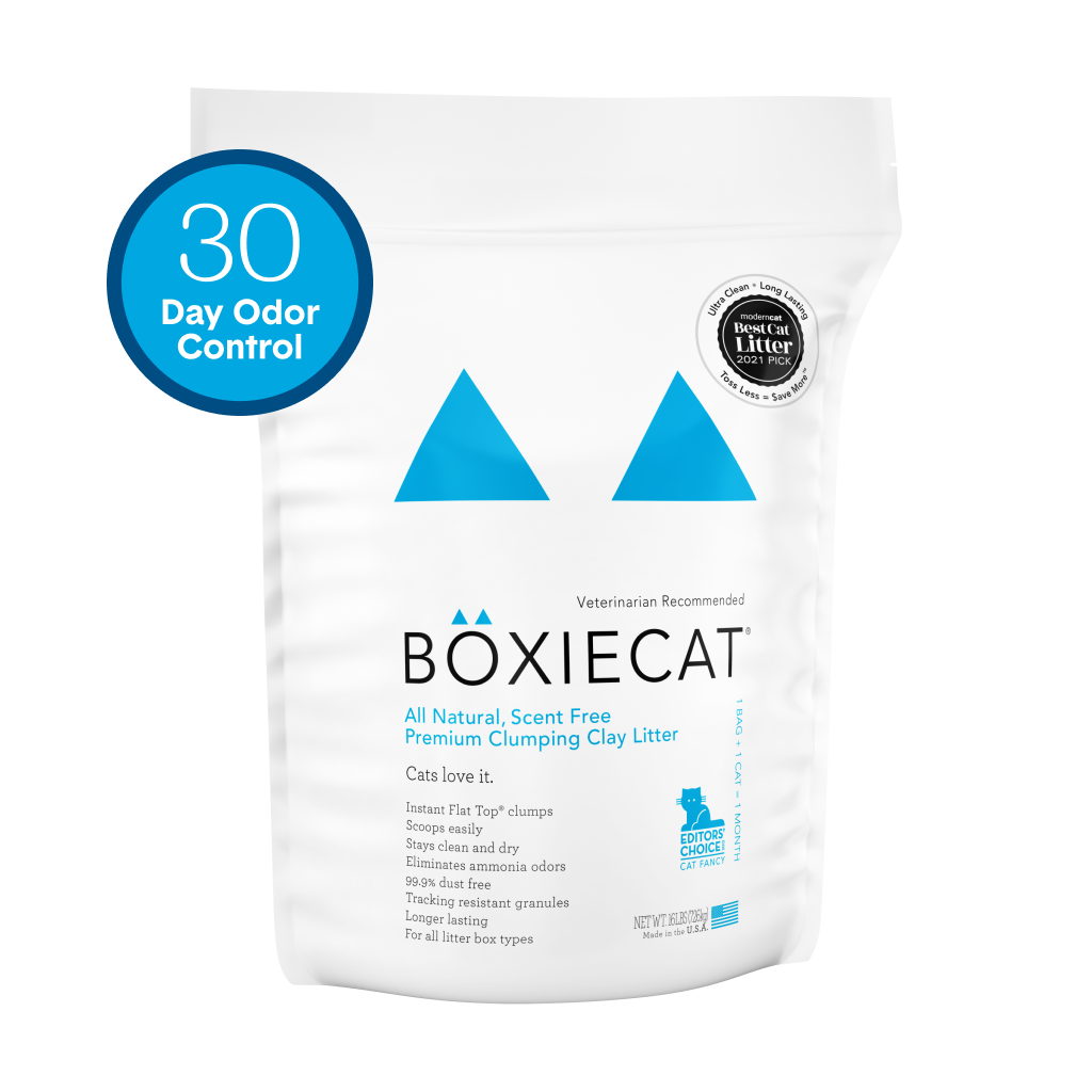Unscented Natural Clumping Clay Litter - 16# Bag