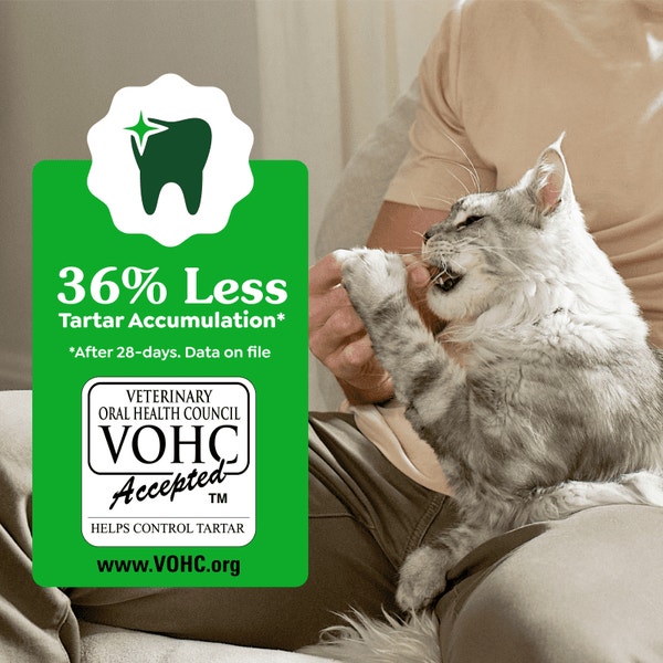 Greenies Tuna Flavor Cat Treats - 2.1 oz