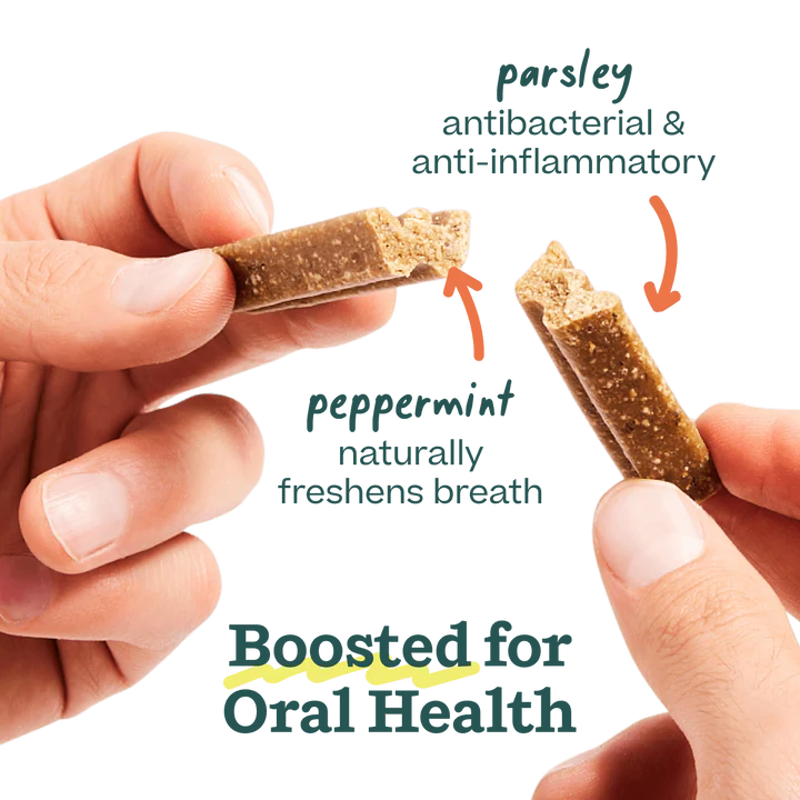 Woof Bite n' Brush Refills