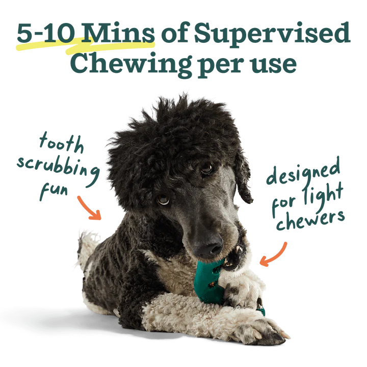 Woof Bite n' Brush Refills