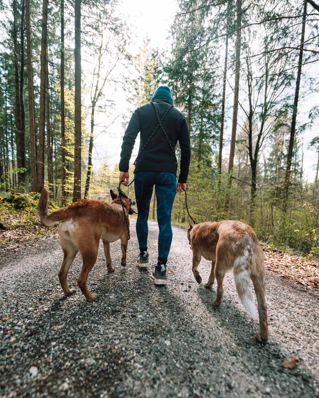 Nonstop Dogwear Rock Adjustable Leash