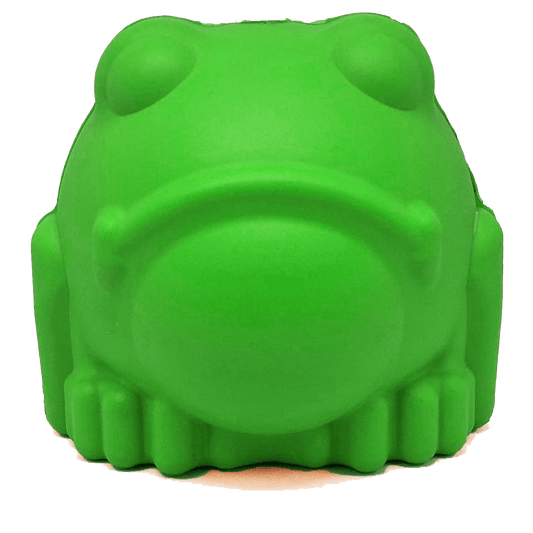 Bull Frog Durable Rubber Chew Toy & Treat Dispenser