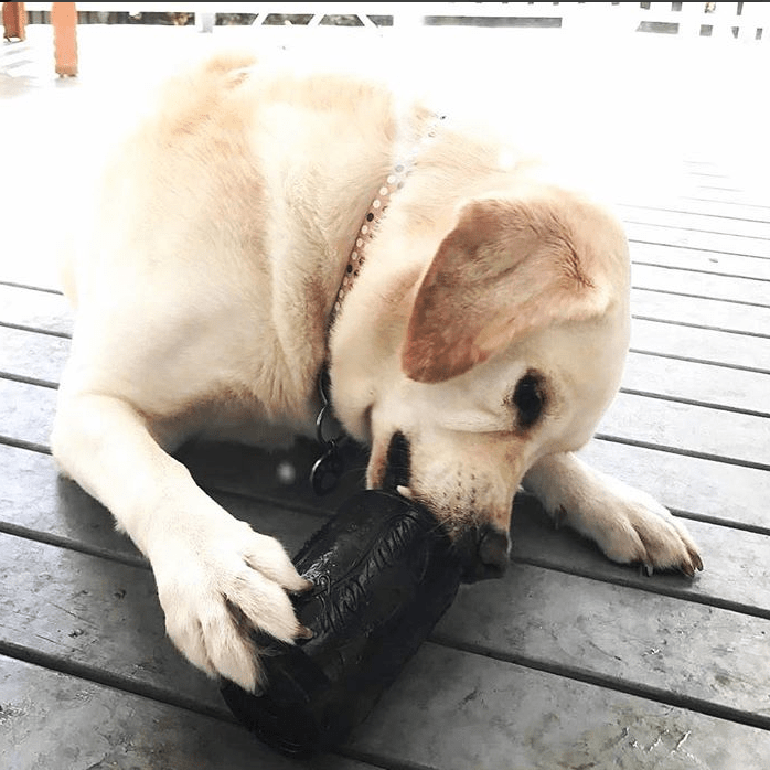 XL Magnum Can Toy eDispenser Ultra Durable Rubber Chew Toy & Treat Dispenser - Black