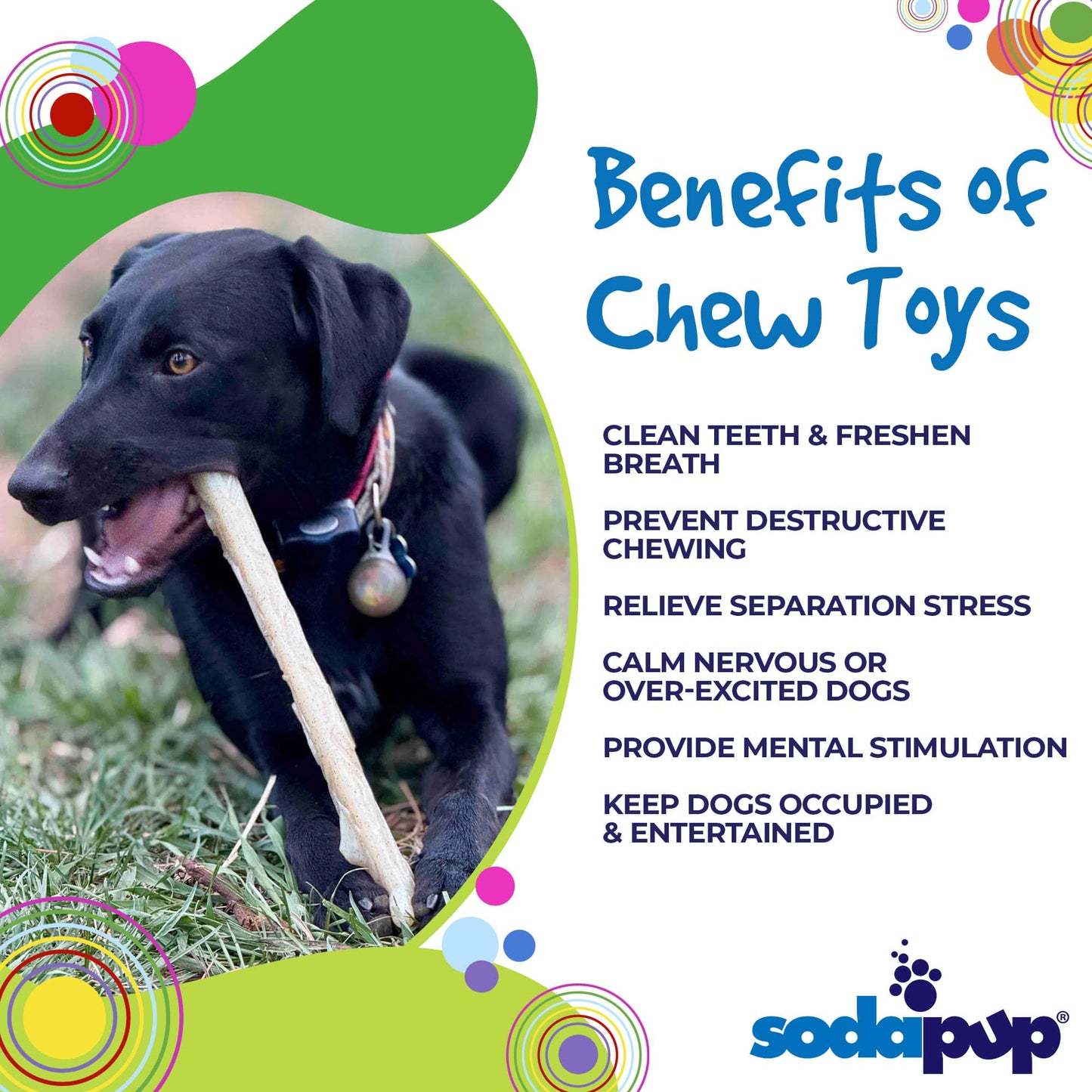 Durable Nylon Chew Stick