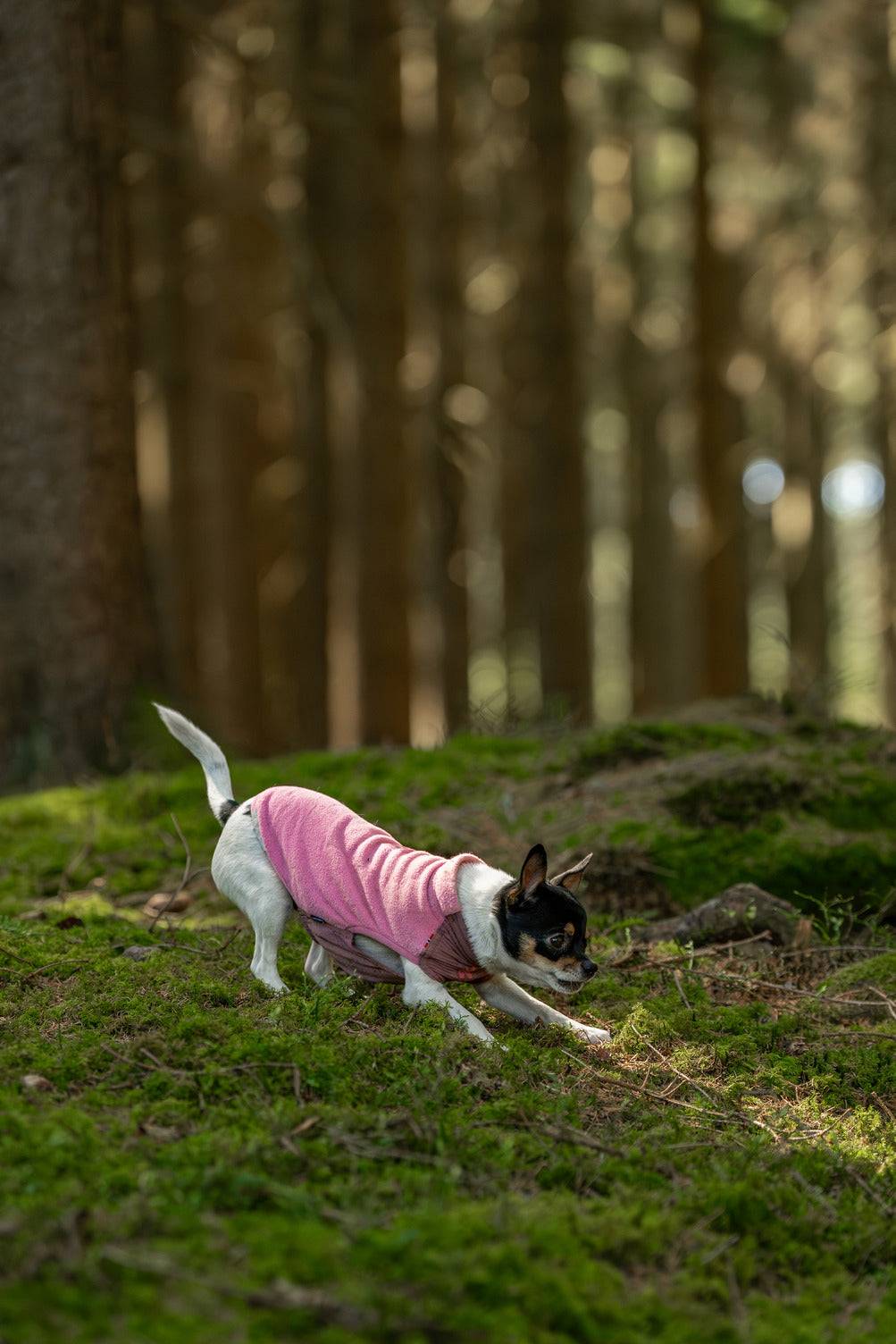 Trail Quest Fleece Pullover - Mauve
