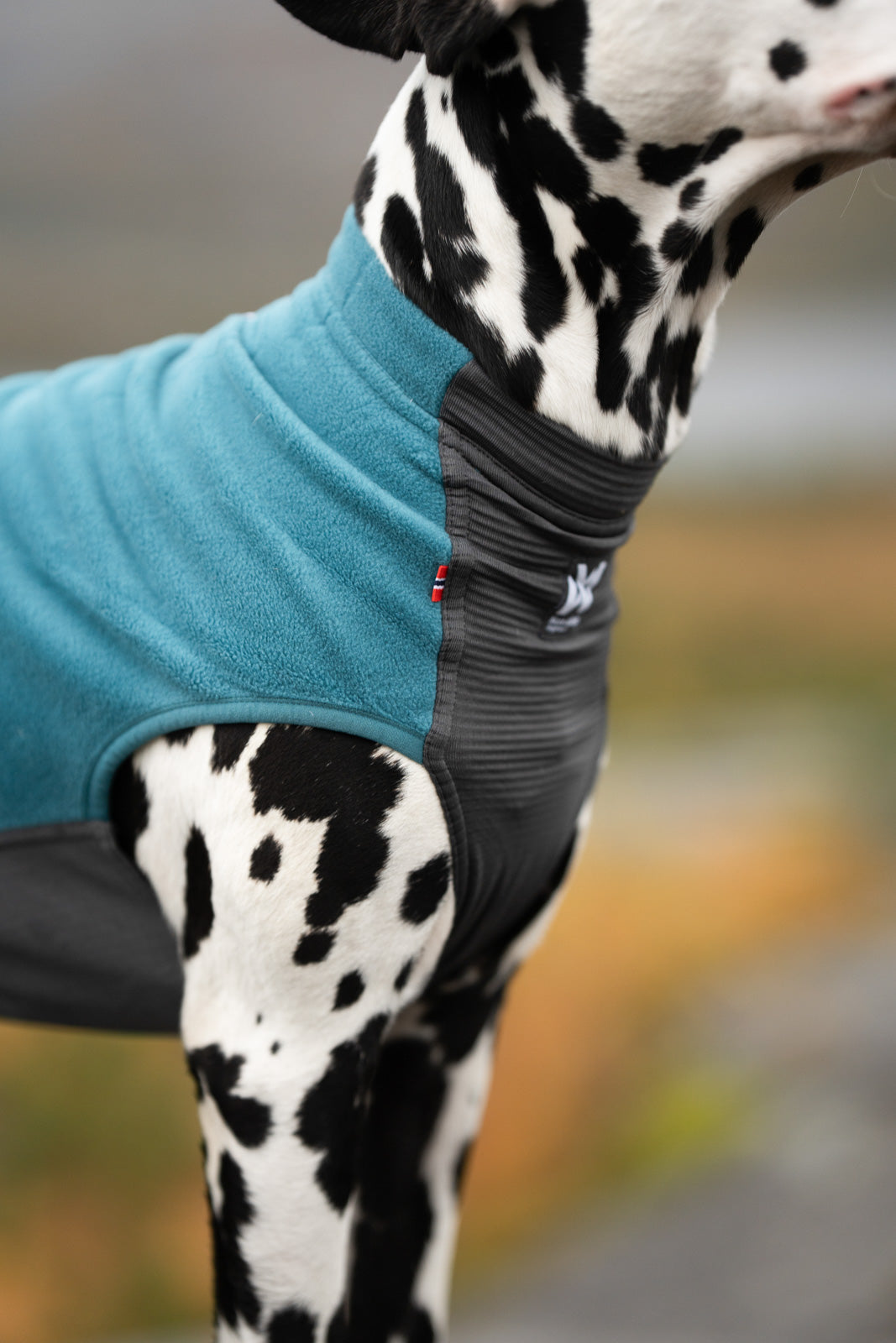 Trail Quest Fleece Pullover - Teal