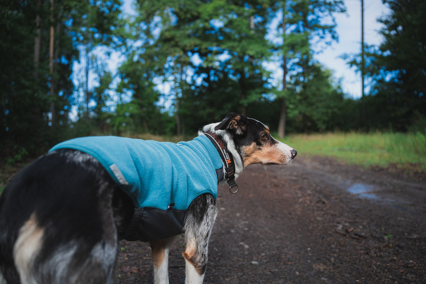 Trail Quest Fleece Pullover - Teal