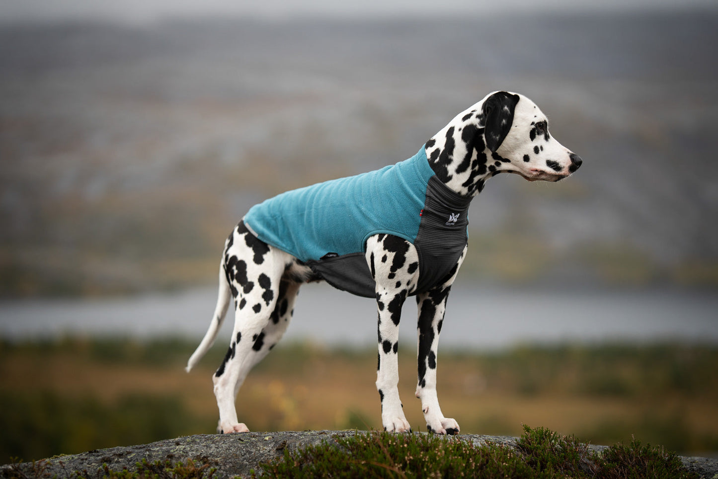 Trail Quest Fleece Pullover - Teal