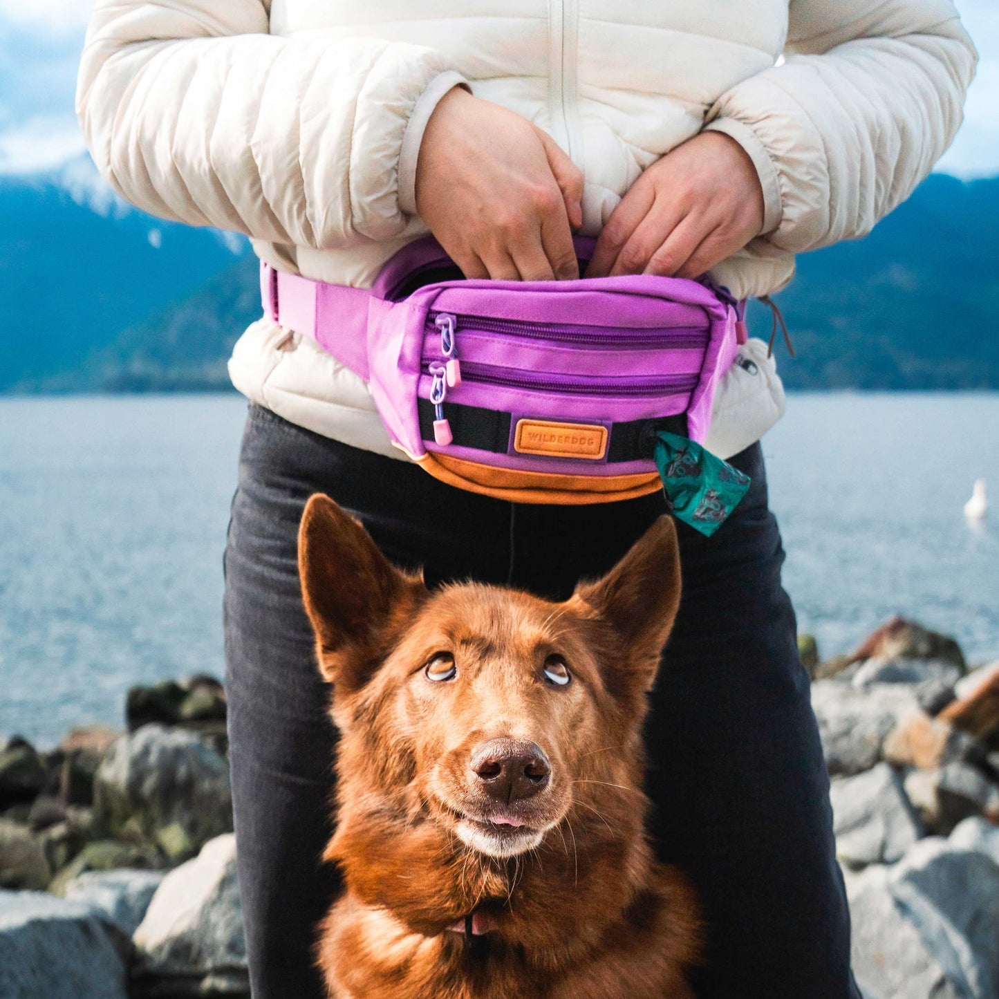 Wilderdog Utility Pack