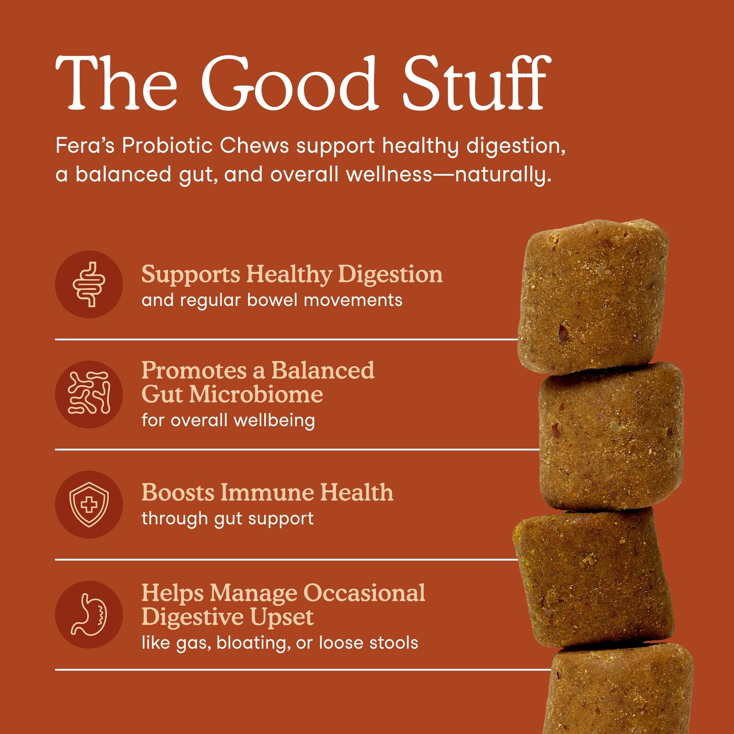 Fera Probiotics Soft Chews for Dogs